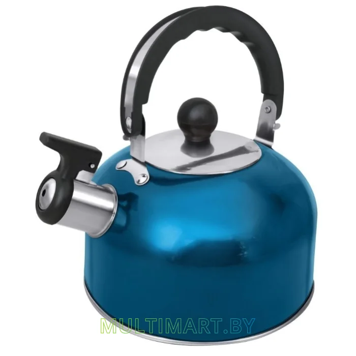 Чайник со свистком Home Element HE-WK1602 (голубой аквамарин)